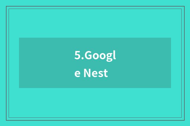 5.Google Nest