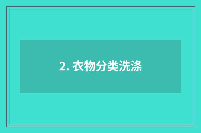 2. 衣物分类洗涤