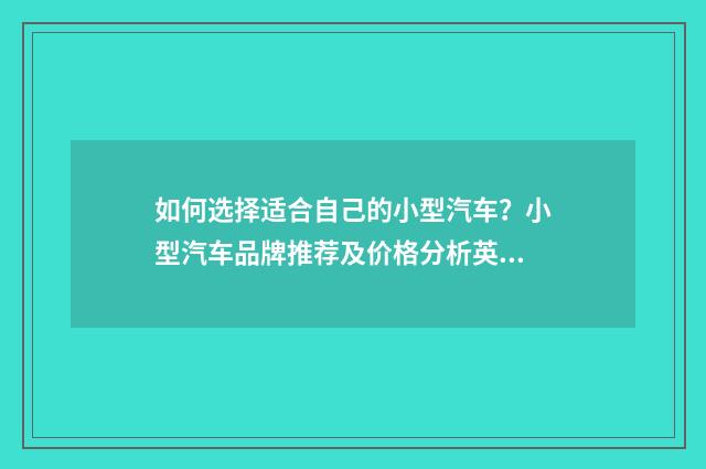 如何选择适合自己的小型汽车？小型汽车品牌推荐及价格分析英文双语对照