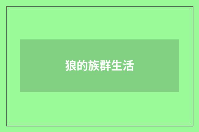 狼的族群生活