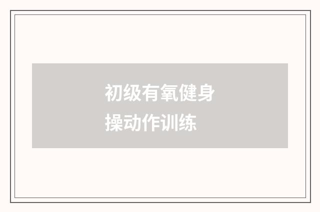 初级有氧健身操动作训练