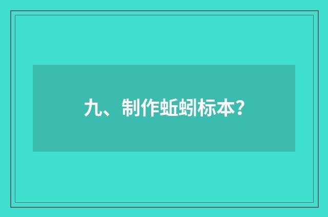 九、制作蚯蚓标本？