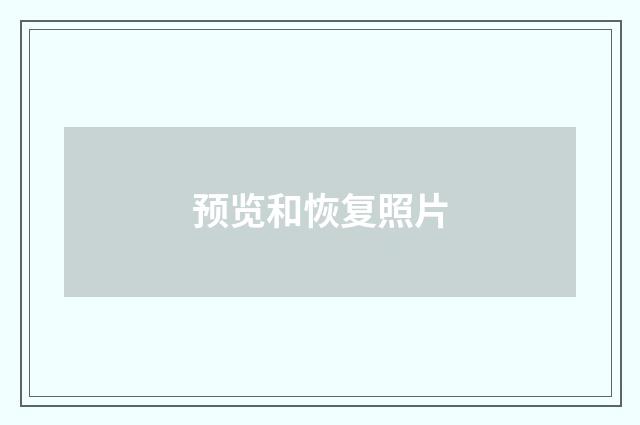 预览和恢复照片