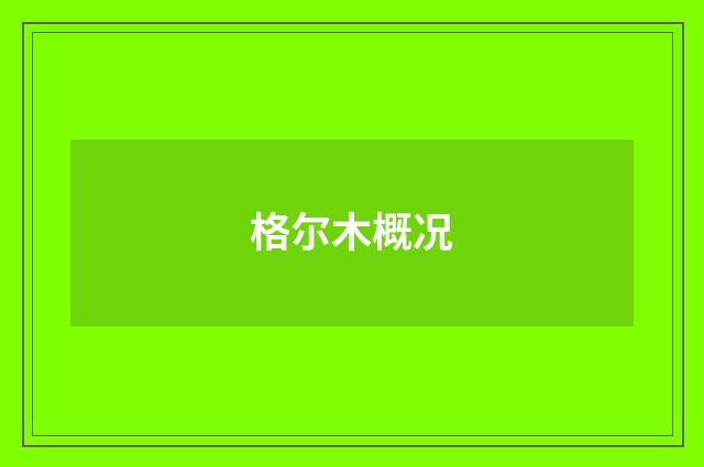 格尔木概况