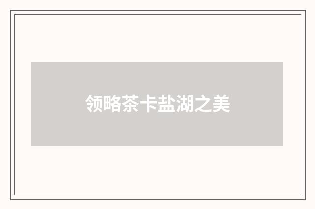领略茶卡盐湖之美