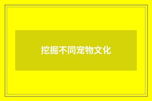 挖掘不同宠物文化