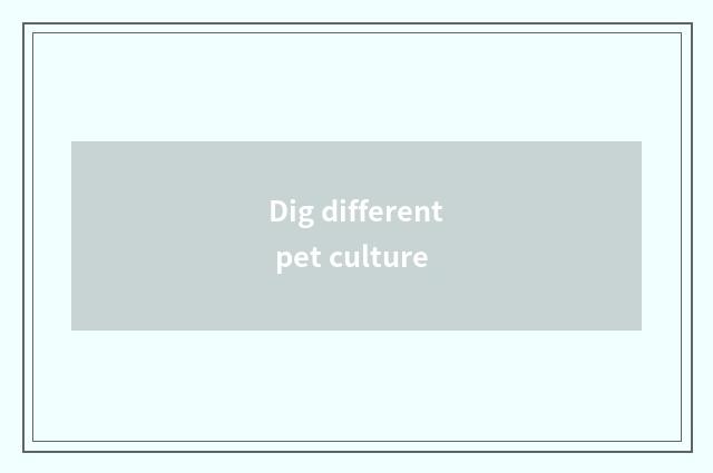 Dig different pet culture