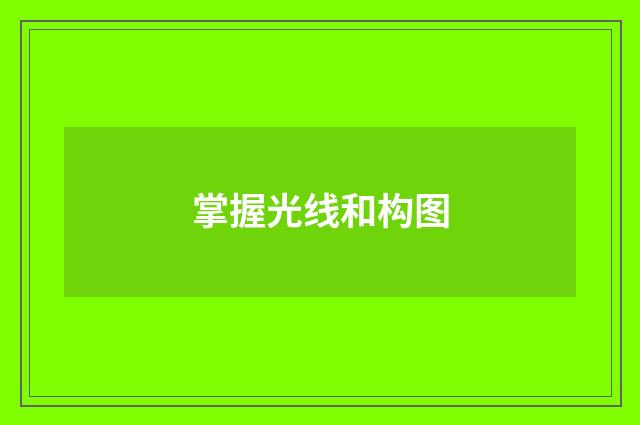 掌握光线和构图