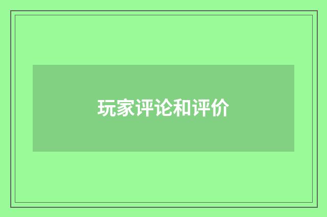 玩家评论和评价