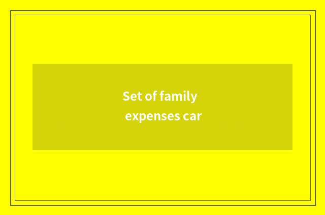 Set of family expenses car