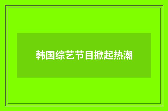韩国综艺节目掀起热潮