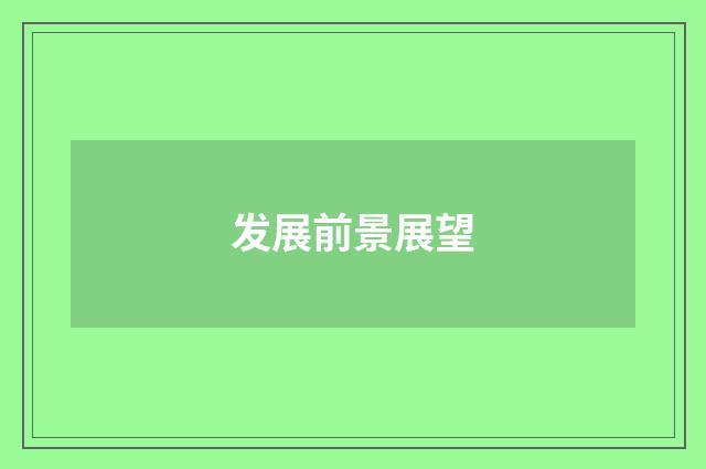 发展前景展望