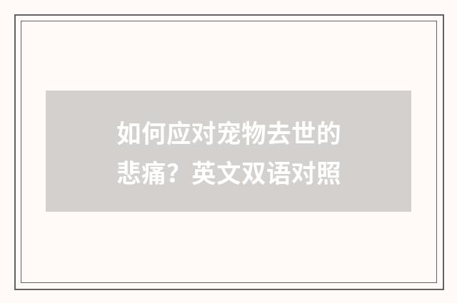 如何应对宠物去世的悲痛？英文双语对照