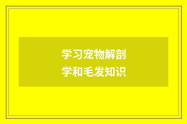 学习宠物解剖学和毛发知识