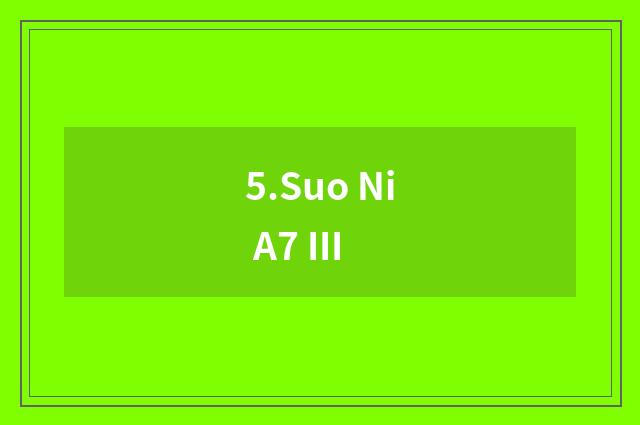 5.Suo Ni A7 III