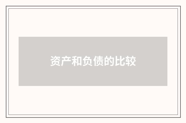 资产和负债的比较