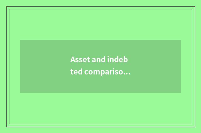 Asset and indebted comparison