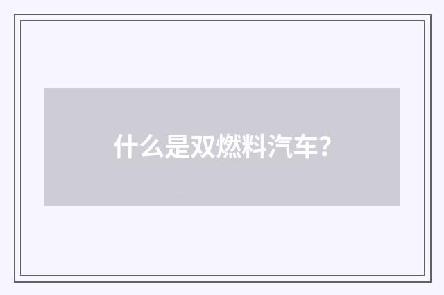 什么是双燃料汽车？