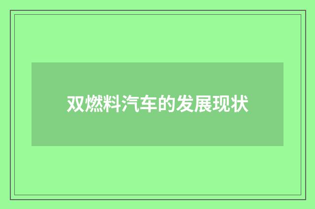 双燃料汽车的发展现状