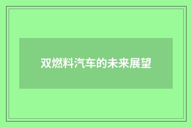 双燃料汽车的未来展望