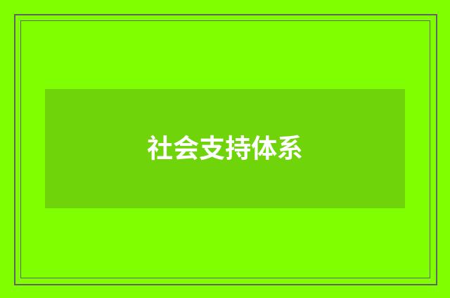 社会支持体系
