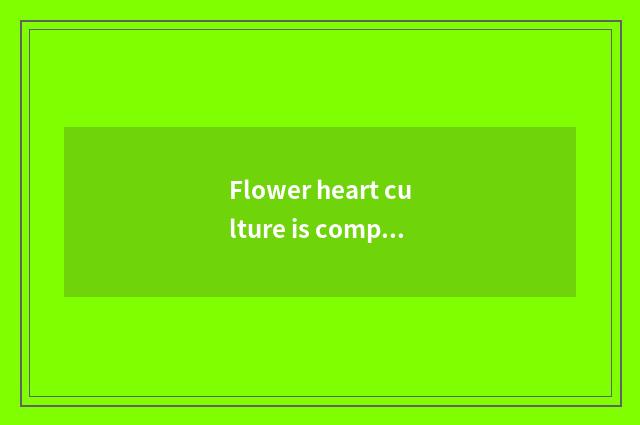 Flower heart culture is compared