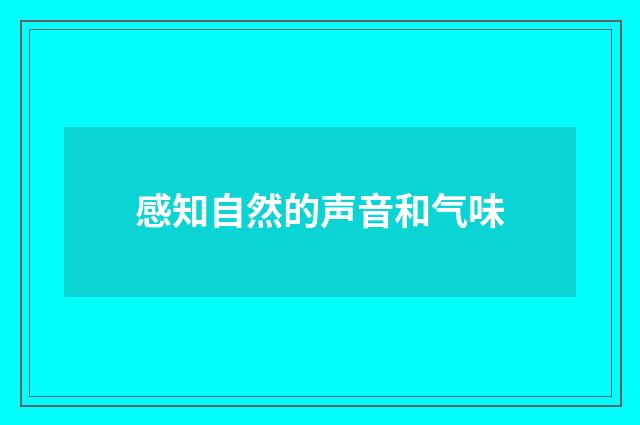 感知自然的声音和气味