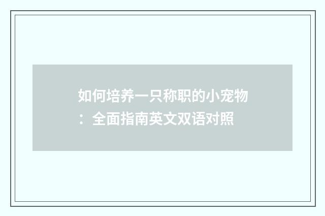 如何培养一只称职的小宠物：全面指南英文双语对照
