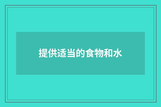提供适当的食物和水