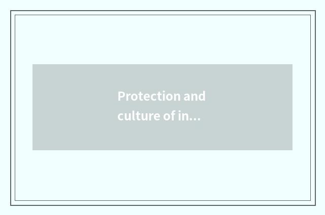 Protection and culture of inheritance China ancient time