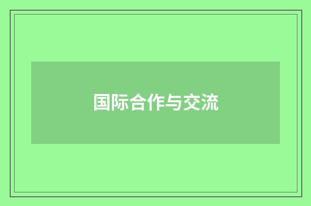 国际合作与交流