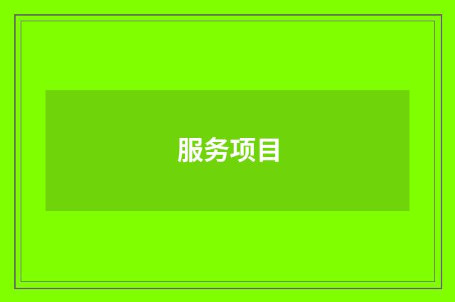 服务项目