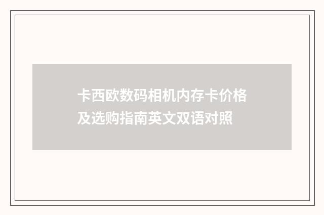 卡西欧数码相机内存卡价格及选购指南英文双语对照