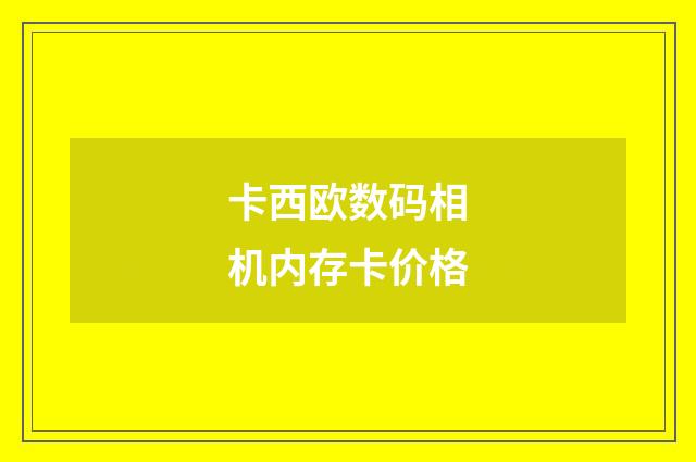 卡西欧数码相机内存卡价格