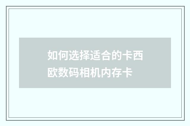 如何选择适合的卡西欧数码相机内存卡