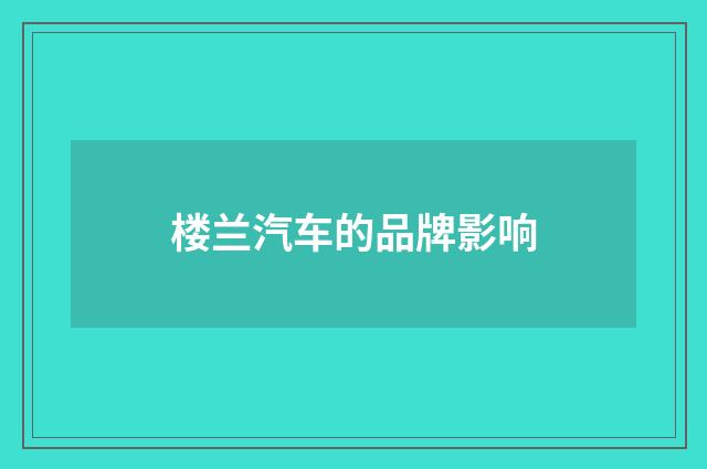 楼兰汽车的品牌影响
