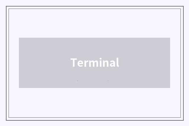 Terminal