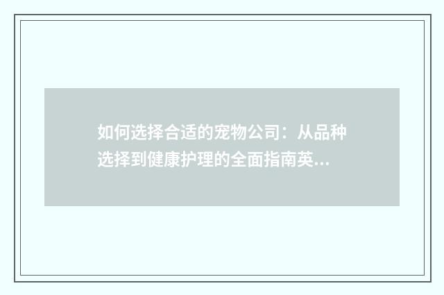 如何选择合适的宠物公司：从品种选择到健康护理的全面指南英文双语对照