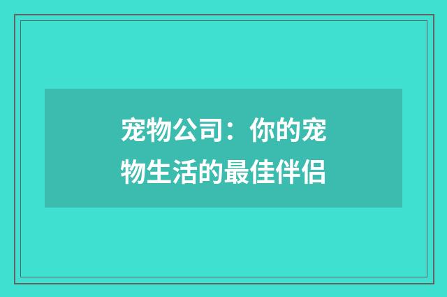 宠物公司：你的宠物生活的最佳伴侣