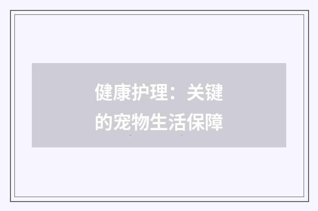 健康护理：关键的宠物生活保障