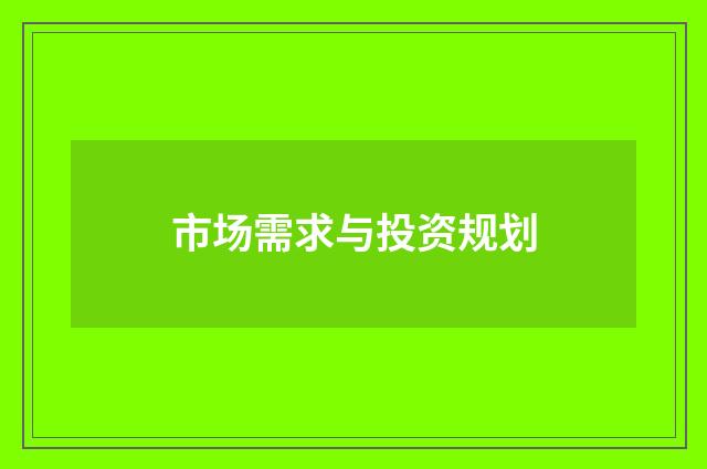 市场需求与投资规划