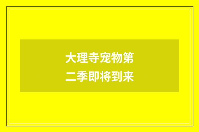 大理寺宠物第二季即将到来