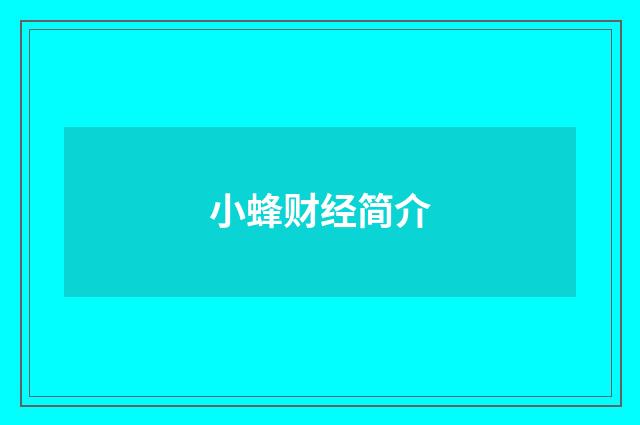 小蜂财经简介