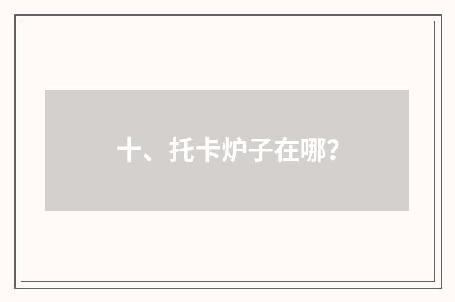 十、托卡炉子在哪？