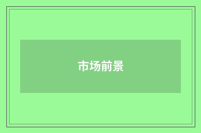 市场前景