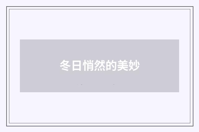 冬日悄然的美妙