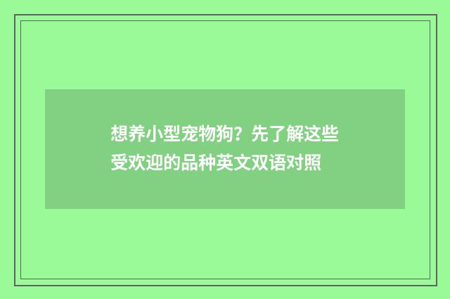 想养小型宠物狗？先了解这些受欢迎的品种英文双语对照