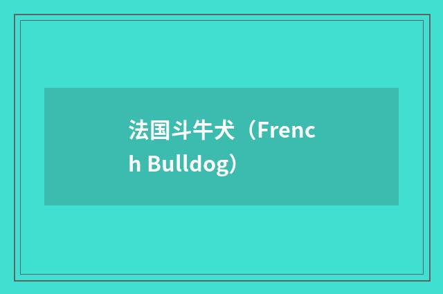 法国斗牛犬（French Bulldog）