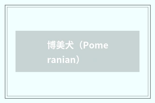 博美犬（Pomeranian）