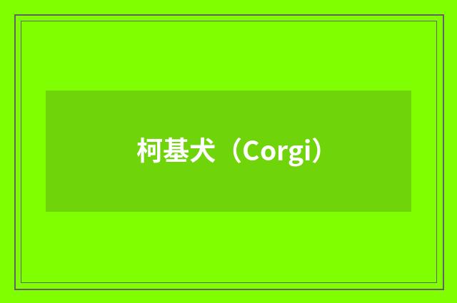 柯基犬（Corgi）